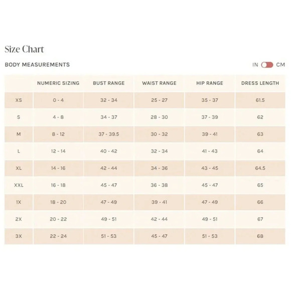 NWT Birdy Grey Kae Bridesmaid Dress Ruffled Flutter Sleeve Chiffon Silver Medium - Picture 5 of 5